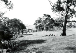 A study of the land in the Catchment of Gippsland Lakes - Vol 2 - land system Redgum1- image