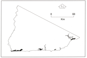 Map unit description B3.2 - Coastal Flats Unconsolidated sediments, type 1