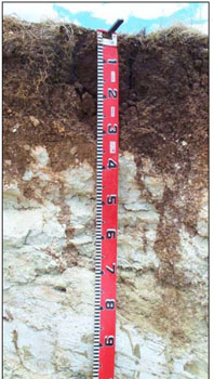 Soils and landforms of the Omeo/Benambra and Tambo Valley region - soil-landform unit Bindi soils1