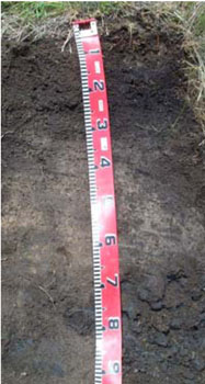 Soils and landforms of the Omeo/Benambra and Tambo Valley region - soil-landform unit Cobungra soils