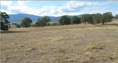 Soils and landforms of the Omeo/Benambra and Tambo Valley region - soil-landform unit Dargo EG207 landscape