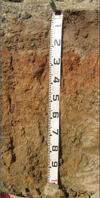Soils and landforms of the Omeo/Benambra and Tambo Valley region - soil-landform unit Dargo EG207 profile
