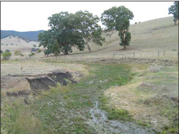 Soils and landforms of the Omeo/Benambra and Tambo Valley region - soil-landform unit Dargo soils
