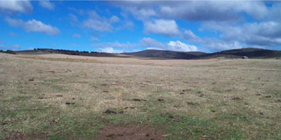 Soils and landforms of the Omeo/Benambra and Tambo Valley region - soil-landform unit Omeo EG55 landscape
