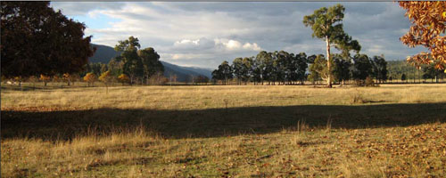 Soils and landforms of the Omeo/Benambra and Tambo Valley region - soil-landform unit Fraser landform