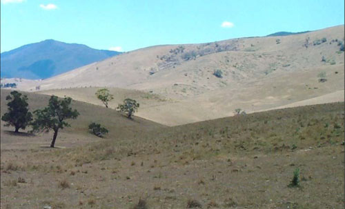 Soils and landforms of the Omeo/Benambra and Tambo Valley region - soil-landform unit Macadam  landform