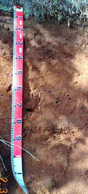 Soils and landforms of the Omeo/Benambra and Tambo Valley region - soil-landform unit Pendergast EG108 profile