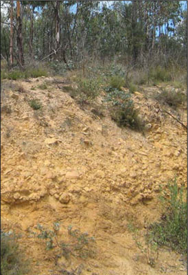 Soils and landforms of the Omeo/Benambra and Tambo Valley region - soil-landform unit Pendergast soils