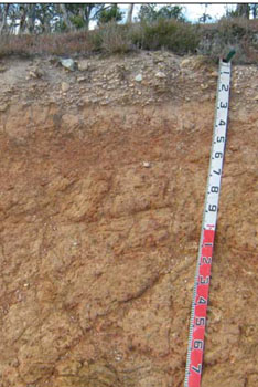 Soils and landforms of the Omeo/Benambra and Tambo Valley region - soil-landform unit Omeo soils2