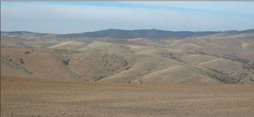 Soils and landforms of the Omeo/Benambra and Tambo Valley region - soil-landform unit Talbotville landform
