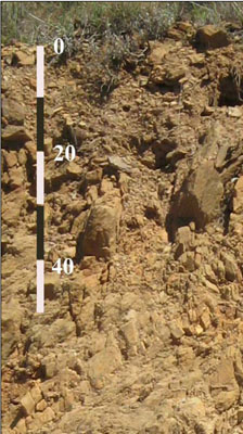 Soils and landforms of the Omeo/Benambra and Tambo Valley region - soil-landform unit Talbotville Pro11 profile