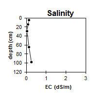 asss1 salinity graph