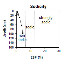 asss1 sodicity graph