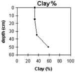Graph: Site GN10 Clay%