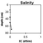Graph: Site GN10 Salinity Levels