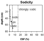 Graph: Site GN10 Sodicity levels