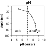 Graph: Site GN12 pH levels