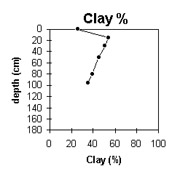 Image: Gn21 Clay