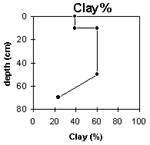 Graph: Site GN9 Clay%