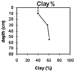 GRAPH: Soil Site GL155 Clay %