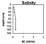 GRAPH: Soil Site GL173 Salt