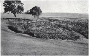 Plate 26 and 26A - In the Casterton land-system, the soils are prone to mass movement on steep slopes.  (The two most common forms are earth -flows, known locally as 