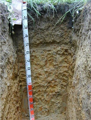 Soil pit Ell98 3 profile
