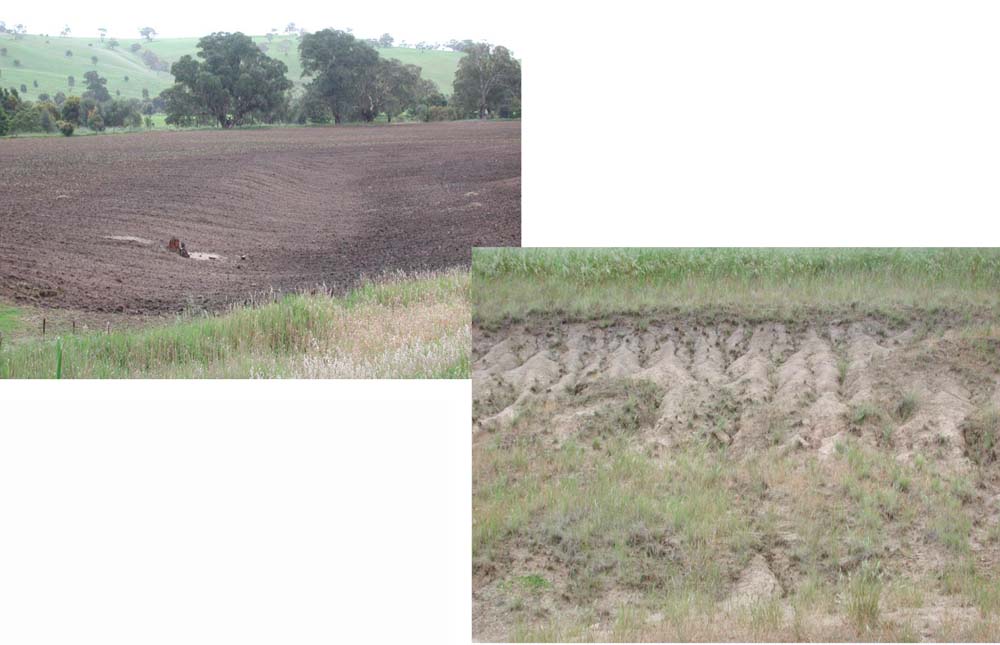 Soil pit GL109 landscape