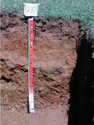 Soil pit GL163 profile