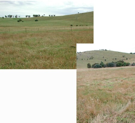 Soil pit GL171 landscape