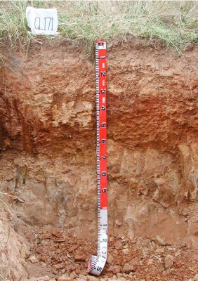 Soil pit GL171 profile