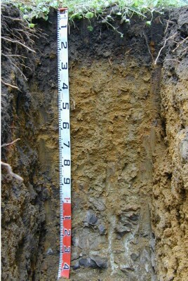 Soil pit Kan98 2 profile