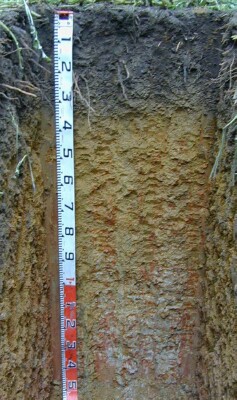 Soil pit Kan98 4 profile