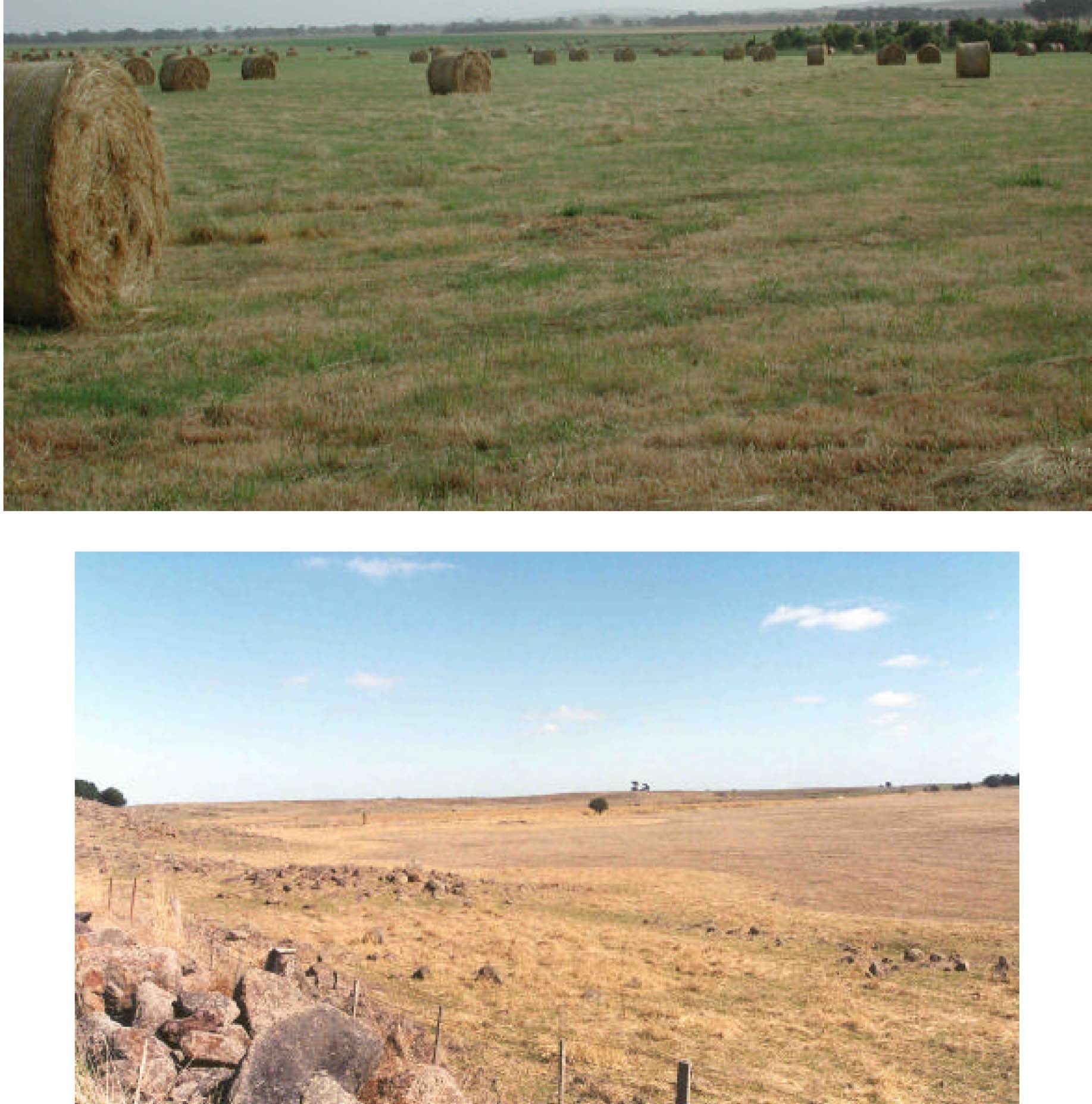 Glenelg Land Resource Assessment - Land Unit System - Basalt plains