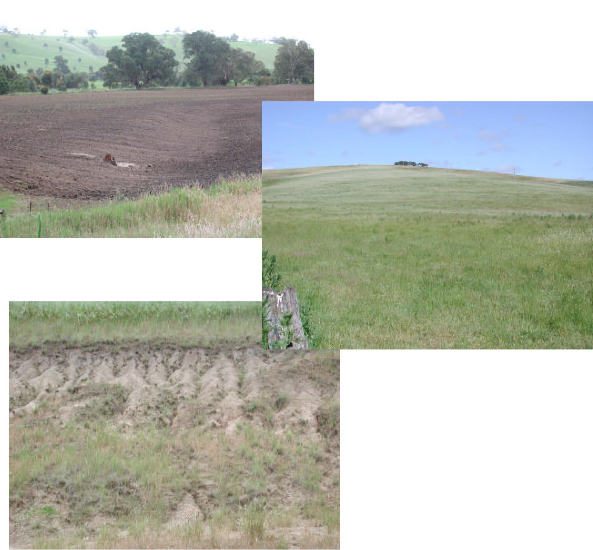 Glenelg Land Resource Assessment - Land Unit System - Dundas tillite