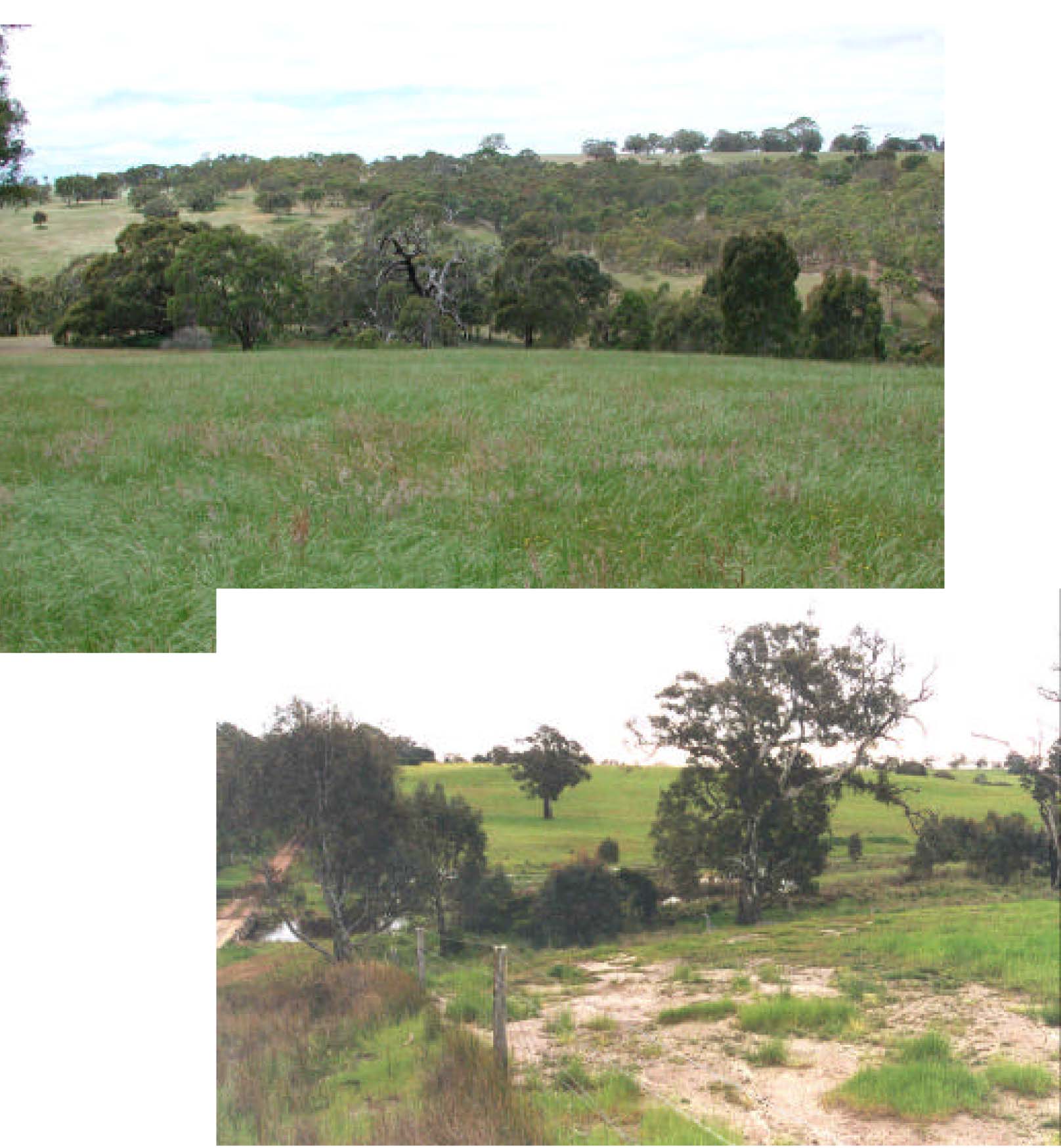 Glenelg Land Resource Assessment - Land Unit System - Glenelg river granites