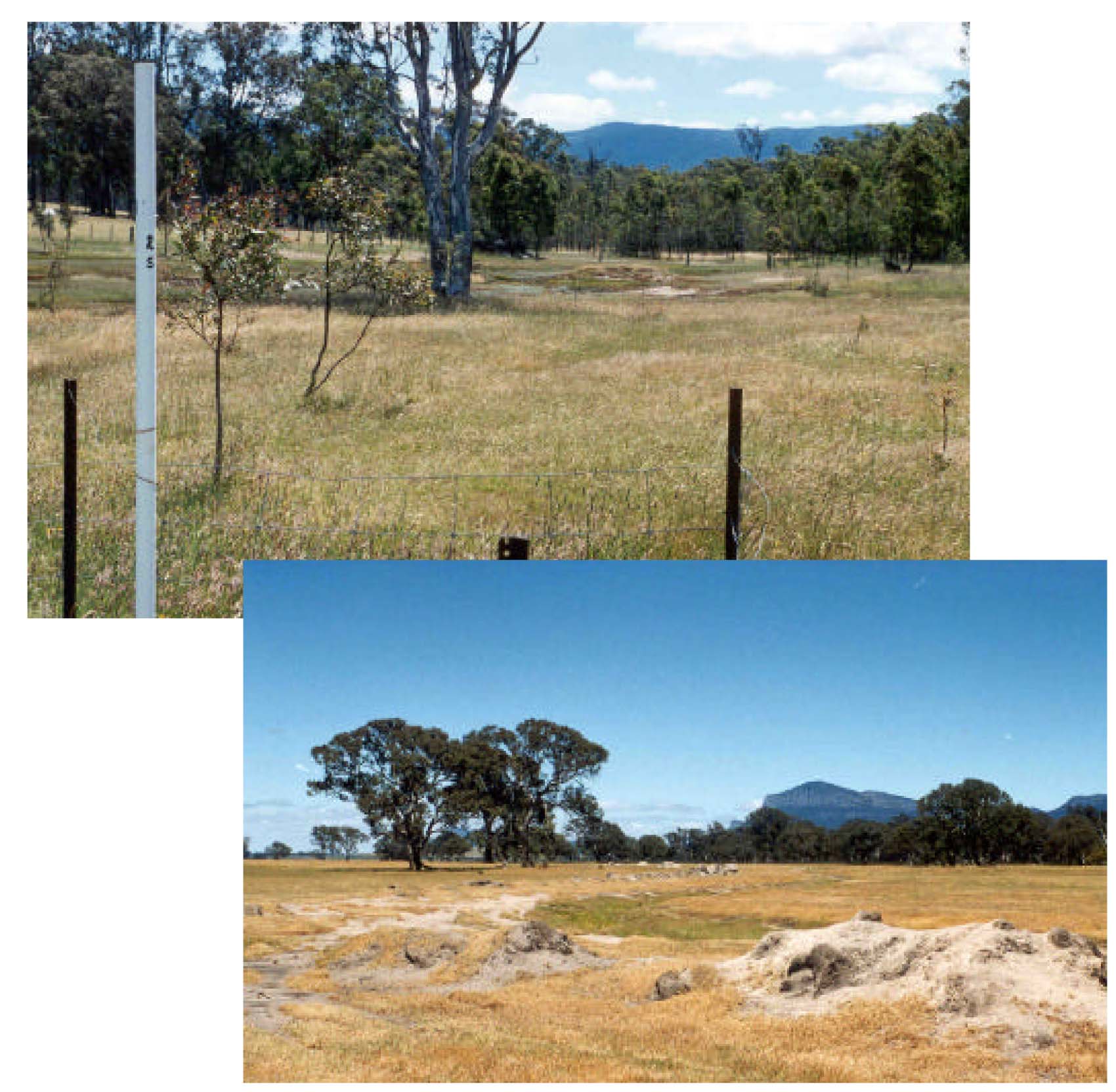 Glenelg Land Resource Assessment - Land Unit System - Grampians alluvial
