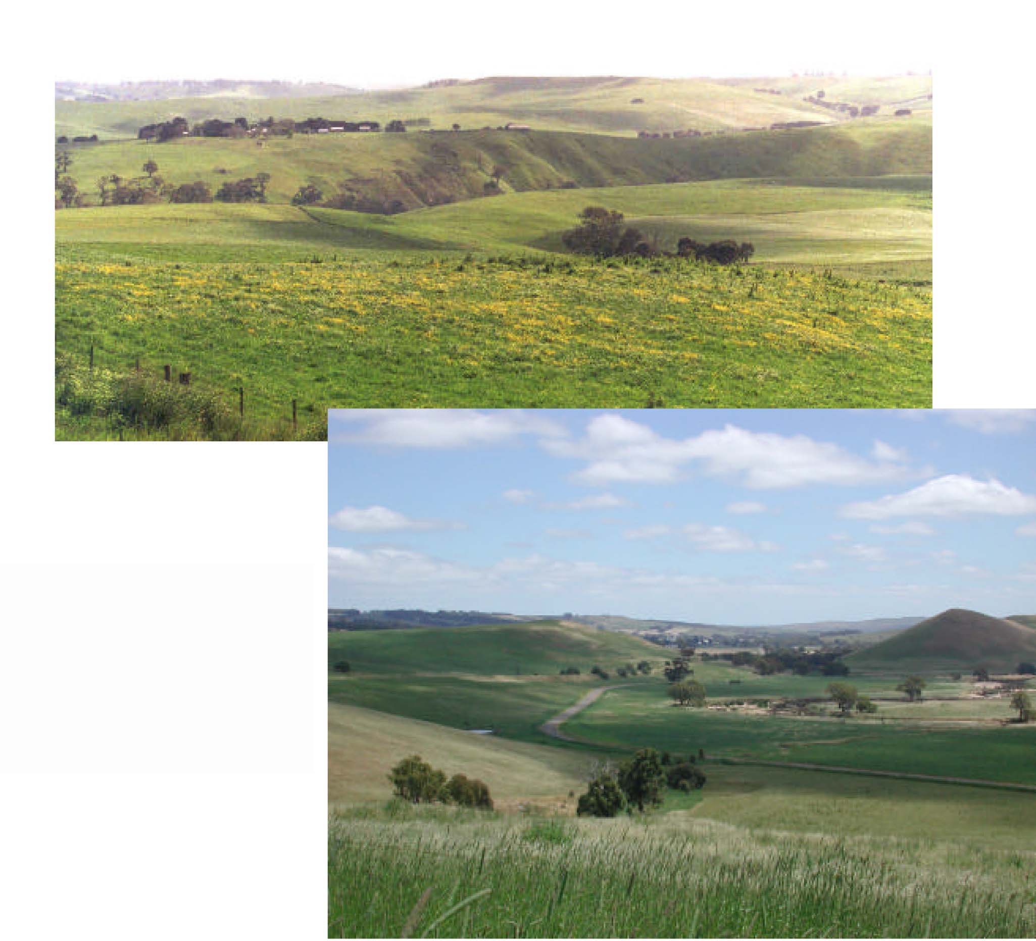 Glenelg Land Resource Assessment - Land Unit System - Merino Tablelands