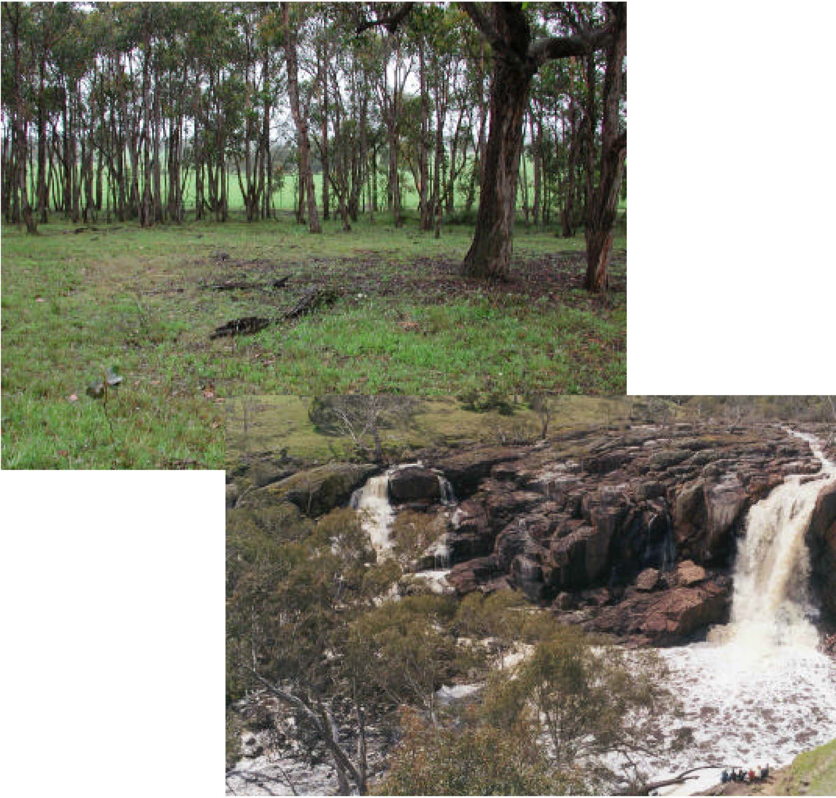 Glenelg Land Resource Assessment - Land Unit System - Rocklands rhyolite