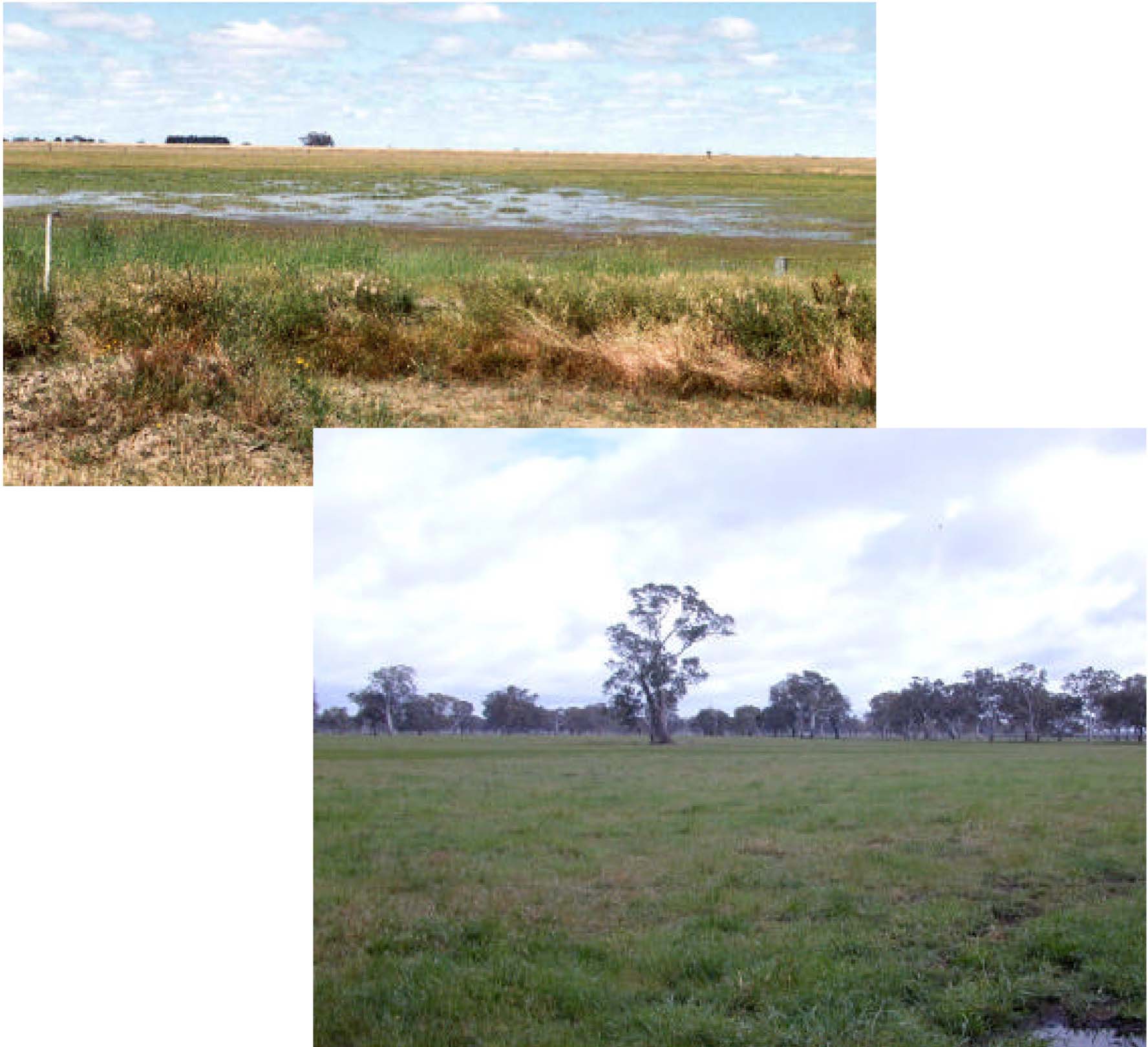 Glenelg Land Resource Assessment - Land Unit System - Strathdownie