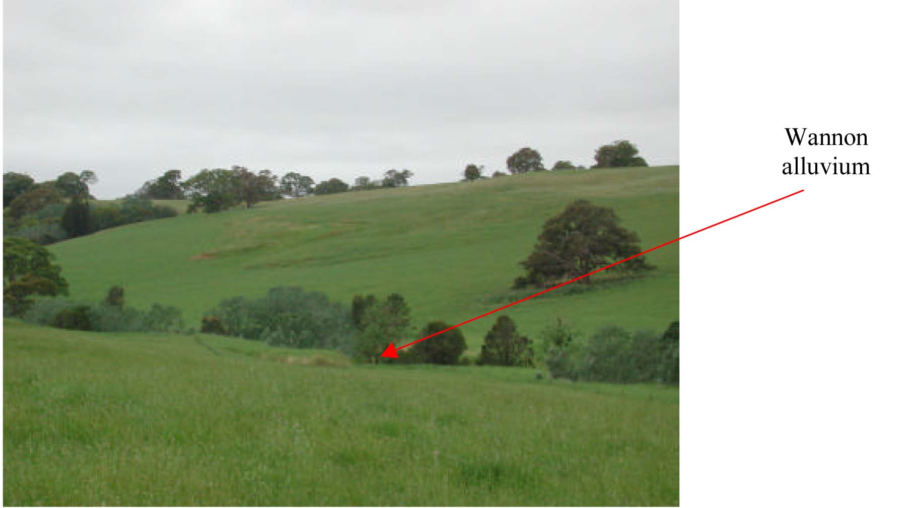 Glenelg Land Resource Assessment - Land Unit System - Wannon alluvial