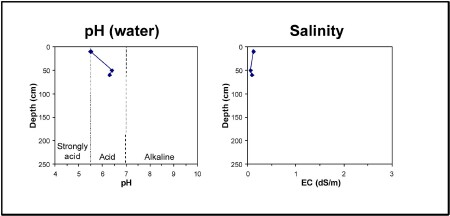 Soil pit MM493 graphs