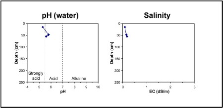 Soil pit MM752 graphs