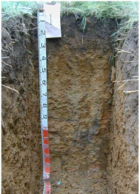 Soil pit Qua98 1 profile