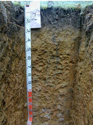 Soil pit Qua98 2 profile