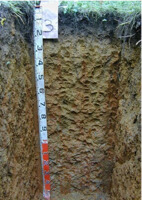 Soil pit Qua98 3 profile