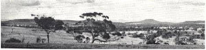 Plate 35 - Mount Dundas, with the Grampians in the background, viewed from the eastern edge of the Brim Brim plateau across the rolling Glenelg land-system