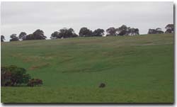 Photo: Landslips near Coleraine