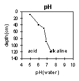 Graph: pH in PVI 1
