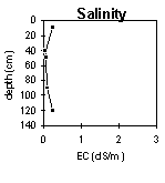 Graph: Salinity in PVI 1